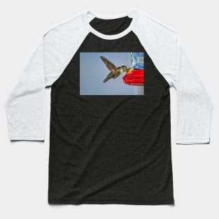 Hummingbird in flight Baseball T-Shirt